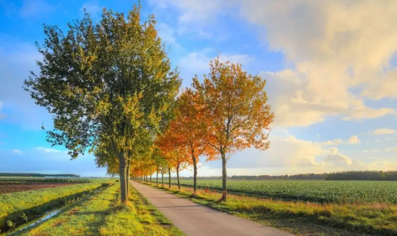 �Ļ��ж�������ʼ��