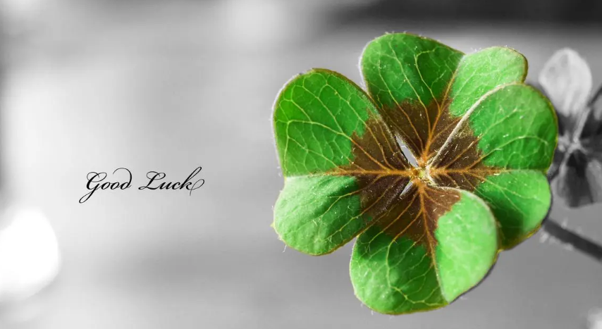 ԽŬ����Խ����